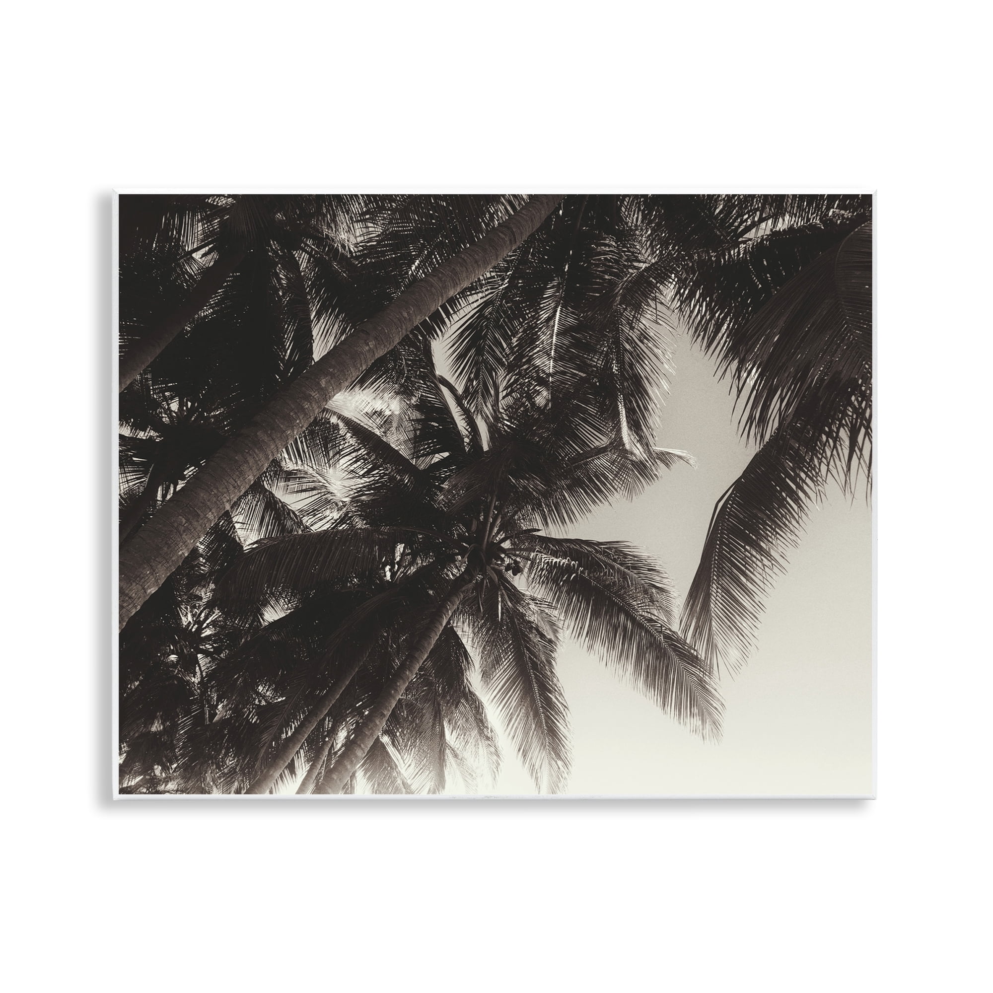 Stupell Industries Dark Palm Leaves Botanical & Floral Photography Unframed Art Print Wall Art, 14 x 11