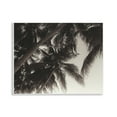thumbnail image 1 of Stupell Industries Dark Palm Leaves Botanical & Floral Photography Unframed Art Print Wall Art, 14 x 11, 1 of 8