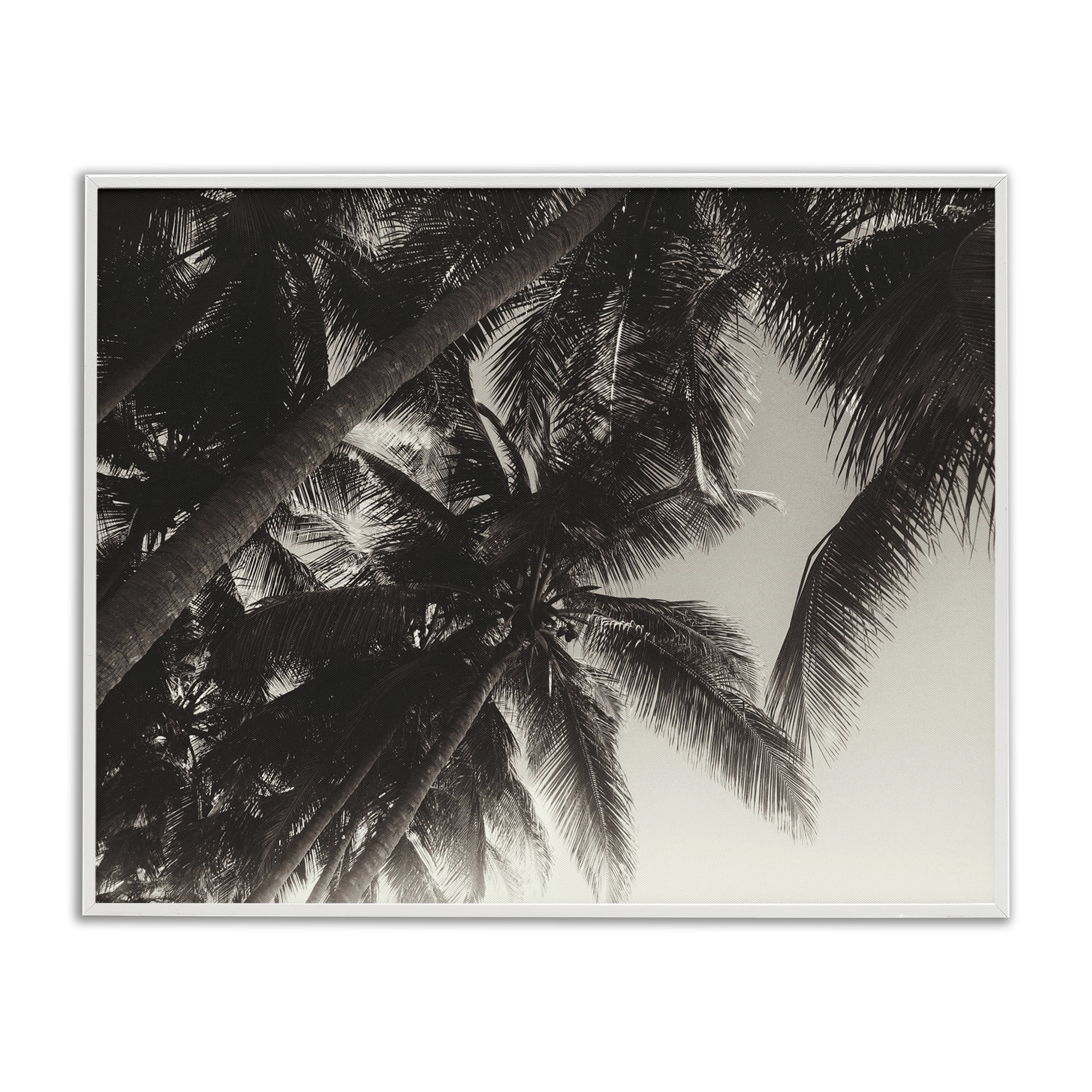 Stupell Industries Dark Palm Leaves Botanical & Floral Photography White Framed Art Print Wall Art, 14 x 11