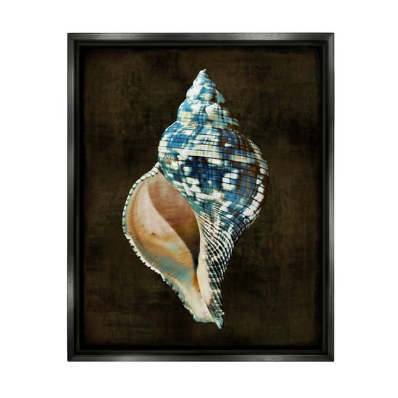 Stupell Industries Dark Patterned Conch Shell Nature Painting Black Floater Framed Canvas Art Print Wall Art, 25 x 31