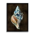 thumbnail image 1 of Stupell Industries Dark Patterned Conch Shell Nature Painting Black Framed Art Print Wall Art, 11 x 14, 1 of 9