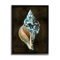 Stupell Industries Dark Patterned Conch Shell Nature Painting Black Framed Art Print Wall Art, 11 x 14