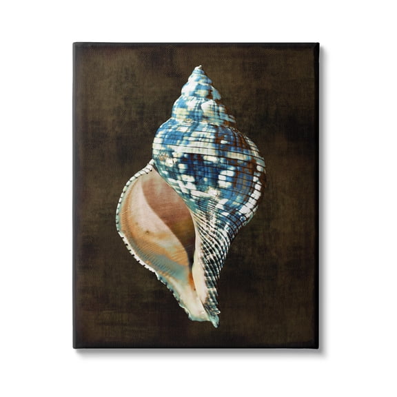 Stupell Industries Dark Patterned Conch Shell Nature Painting Gallery Wrapped Canvas Art Print Wall Art, 30 x 40