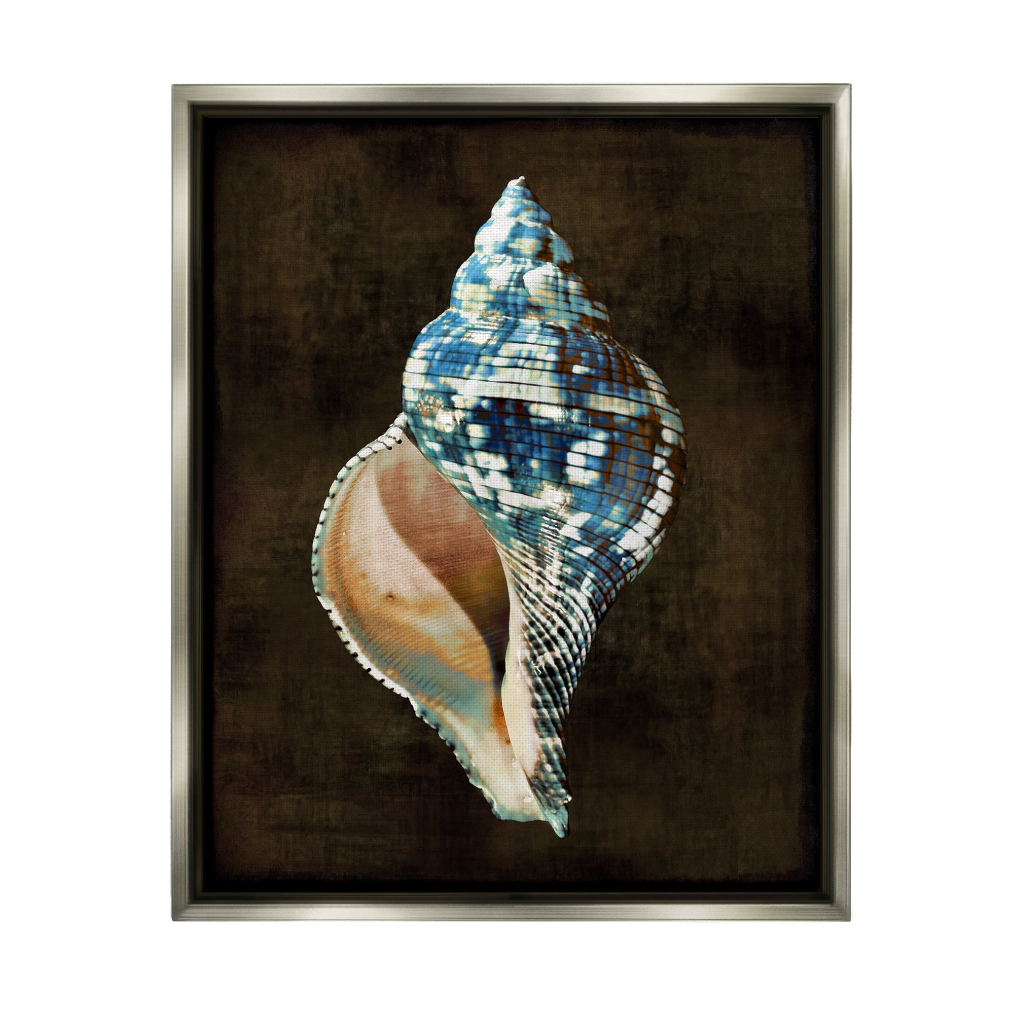 Stupell Industries Dark Patterned Conch Shell Nature Painting Gray Floater Framed Canvas Art Print Wall Art, 17 x 21