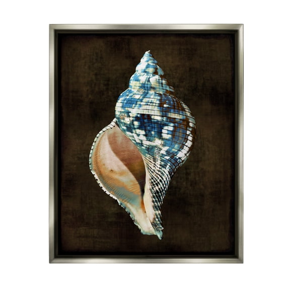 Stupell Industries Dark Patterned Conch Shell Nature Painting Gray Floater Framed Canvas Art Print Wall Art, 25 x 31