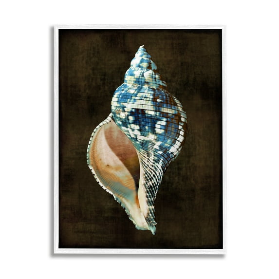 Stupell Industries Dark Patterned Conch Shell Nature Painting White Framed Art Print Wall Art, 16 x 20