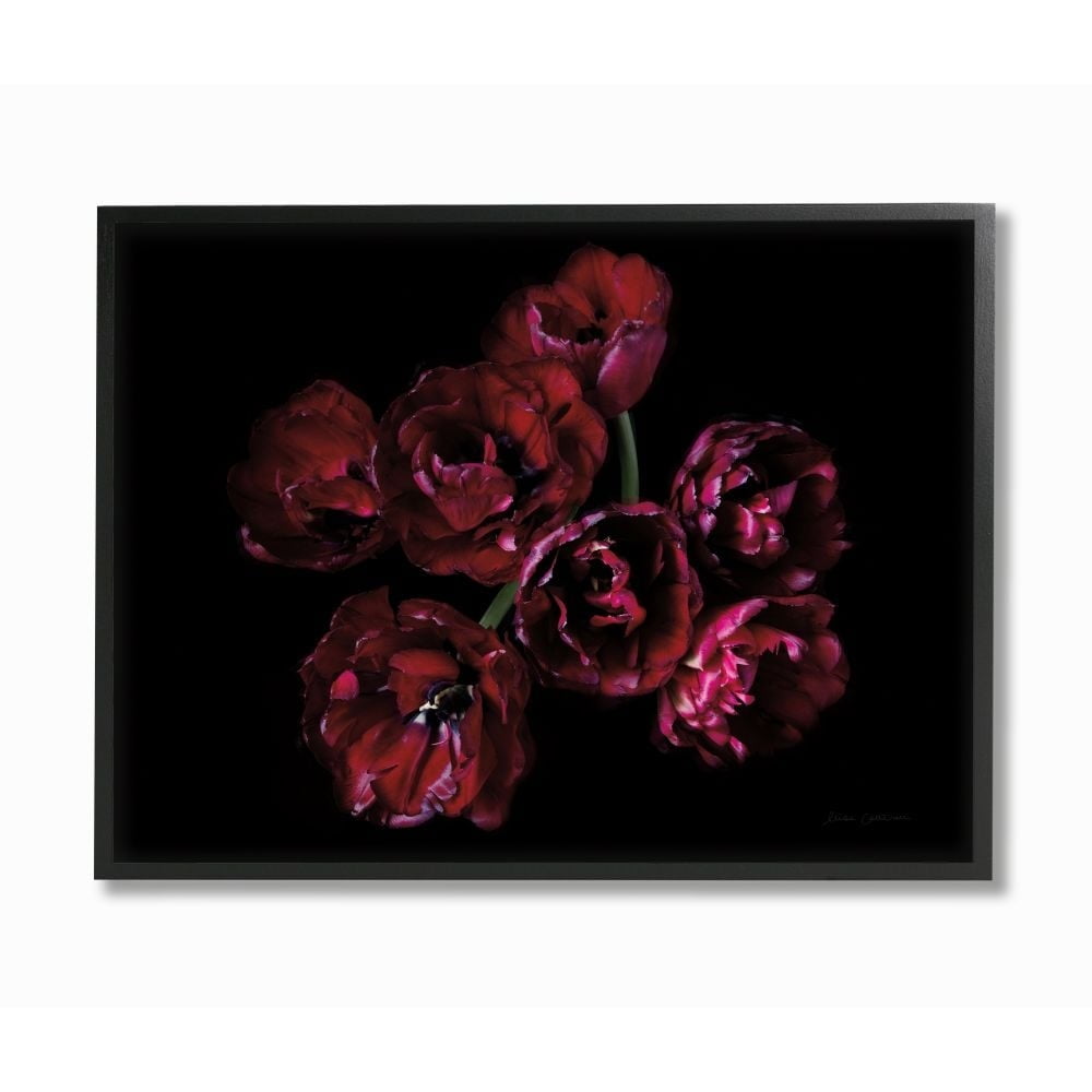 Stupell Industries Dark Peonies Floral Bouquet Red Black Photograph Framed Wall Art Design by Elise Catterall, 24" x 30", Black Framed