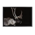 thumbnail image 1 of Stupell Industries Rustic Lodge Dark Reindeer at Night Black Floating Frame Canvas Art, 31 x 21, by Amy Carroll, 1 of 8