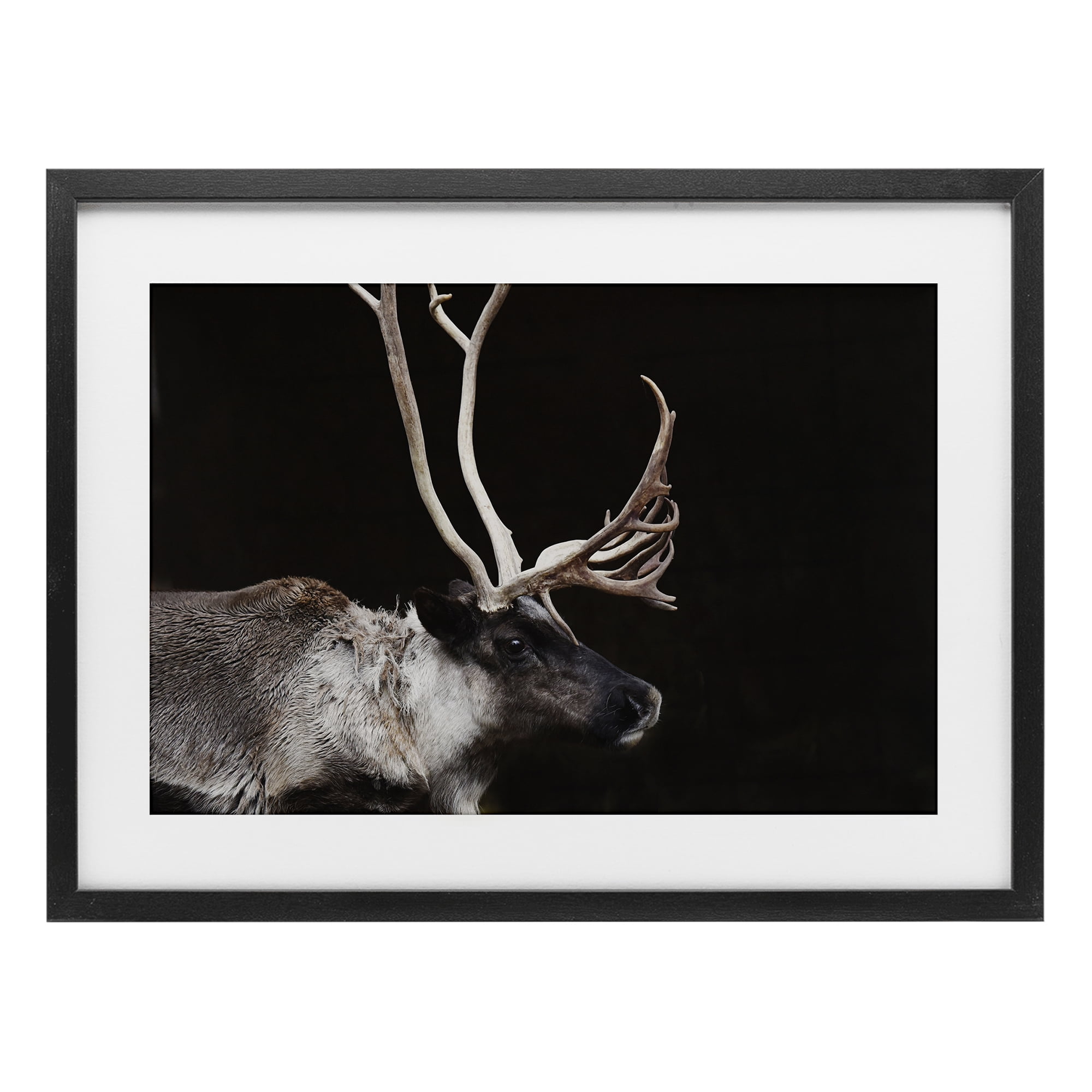 Stupell Industries Dark Reindeer at Night Black Framed Print Under Glass, design by Amy Carroll