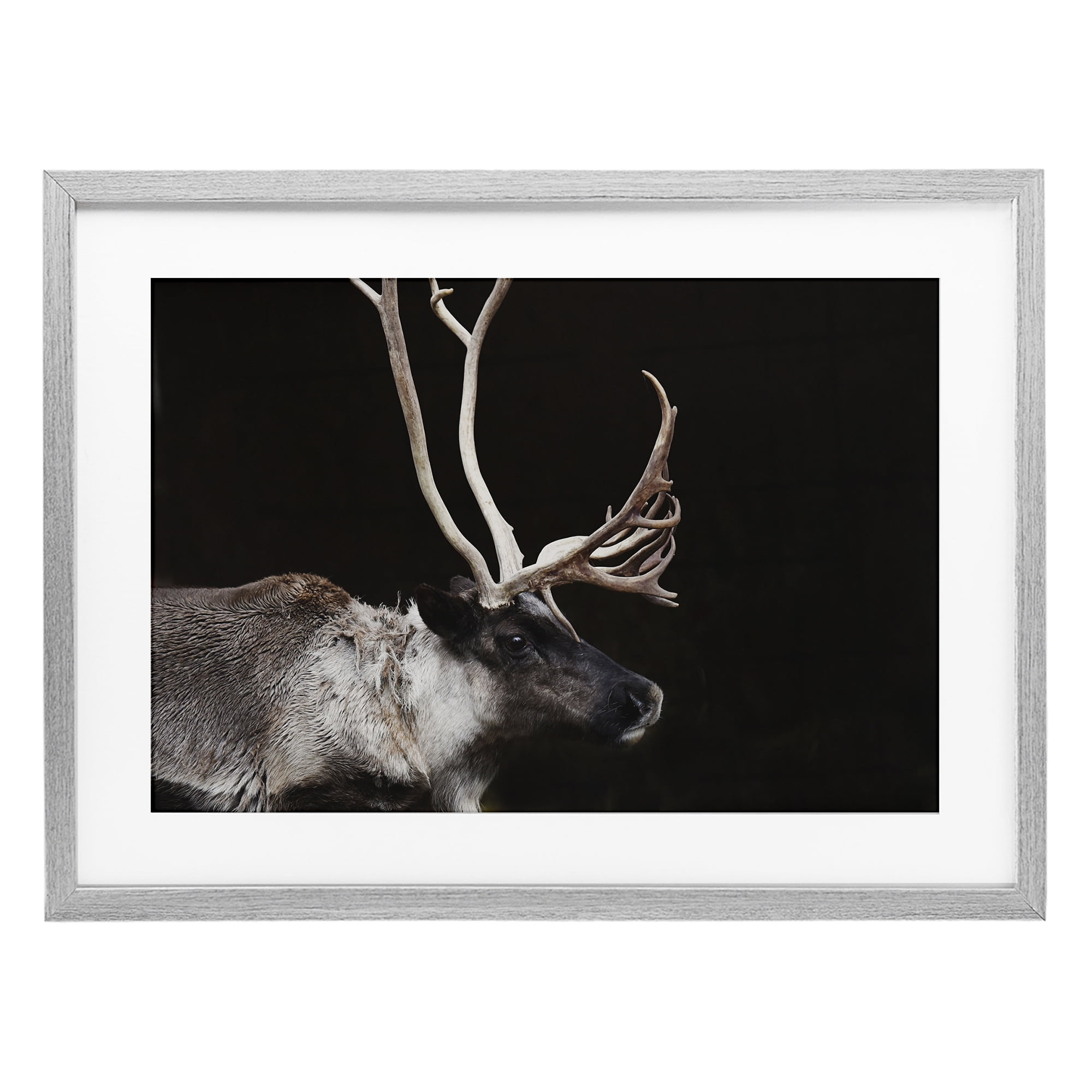 Stupell Industries Dark Reindeer at Night Gray Framed Print Under Glass, design by Amy Carroll