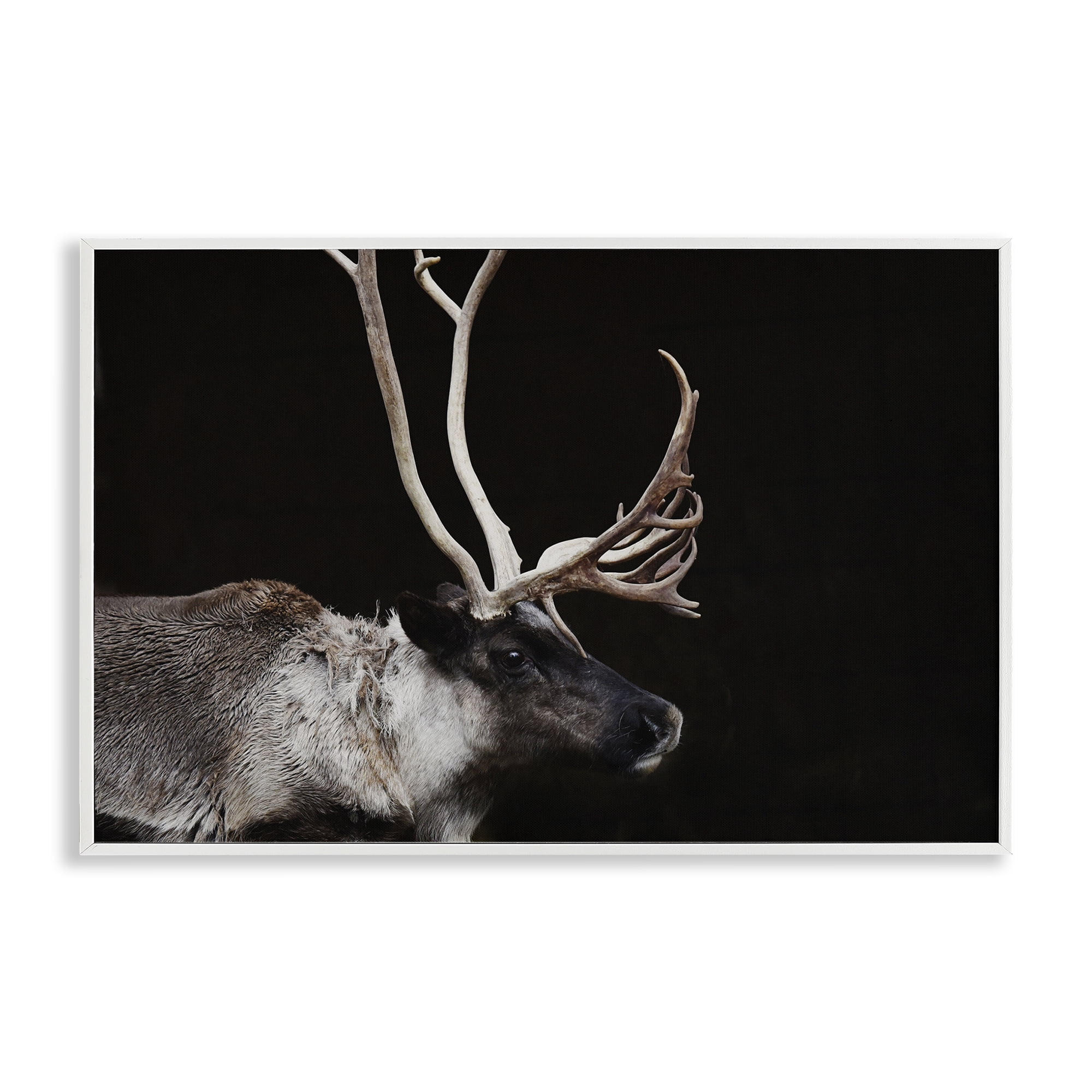 Stupell Industries Dark Reindeer at Night White Framed Giclee Art, design by Amy Carroll
