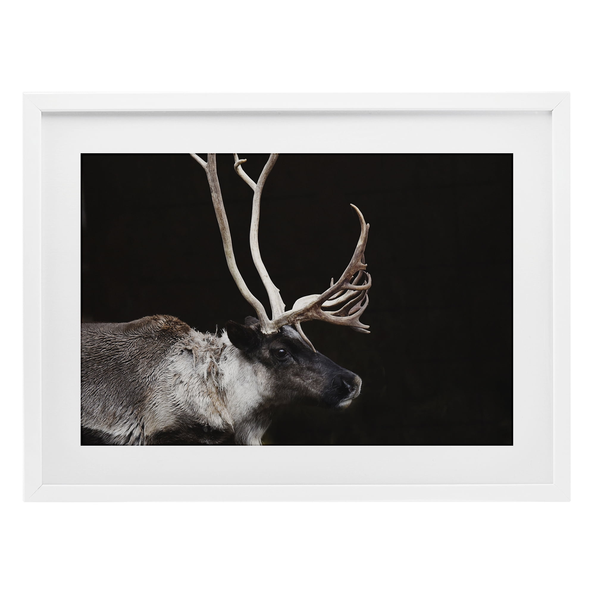 Stupell Industries Dark Reindeer at Night White Framed Print Under Glass, design by Amy Carroll