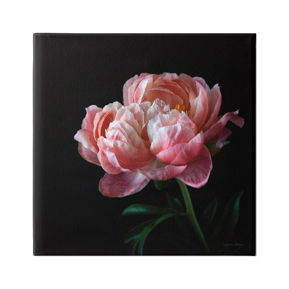 Stupell Industries Dark Rose Photography Botanical & Floral Photography Gallery Wrapped Canvas Art Print Wall Art, 17 x 17
