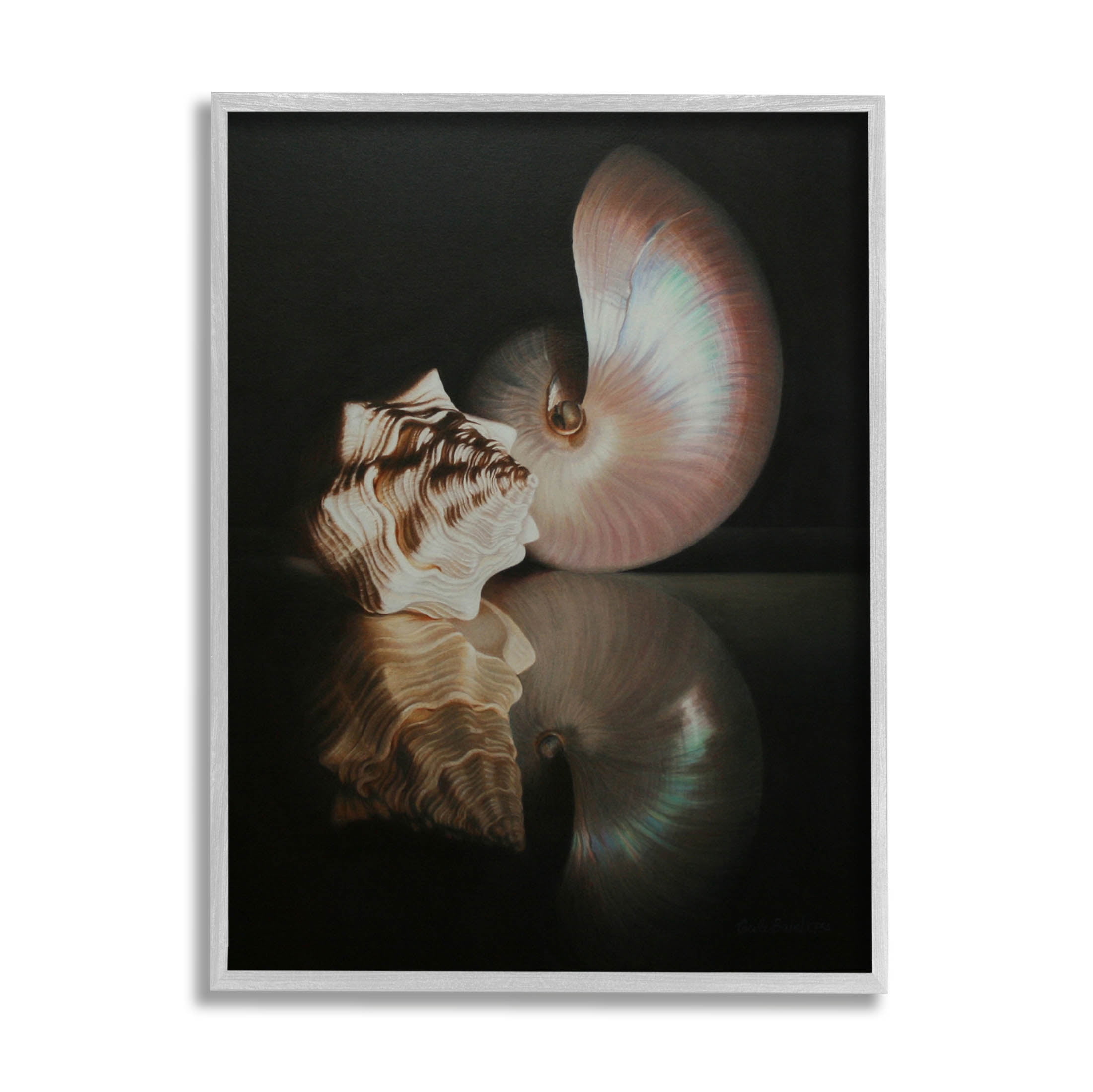 Stupell Industries Dark Sea Shells Still Life Photograph Gray Framed Art Print Wall Art, Design by Cecile Baird