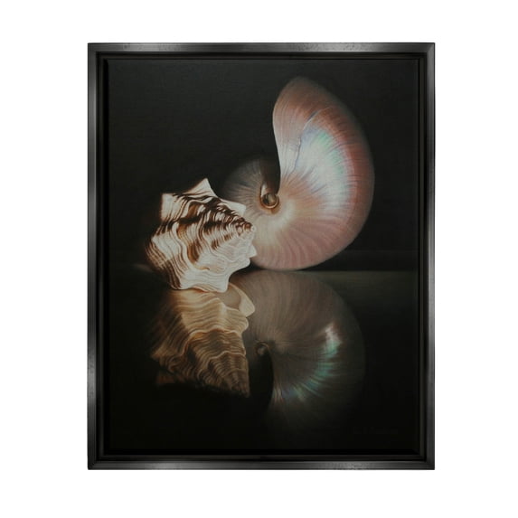 Stupell Industries Dark Sea Shells Still Life Photograph Jet Black Floating Framed Canvas Print Wall Art, Design by Cecile Baird