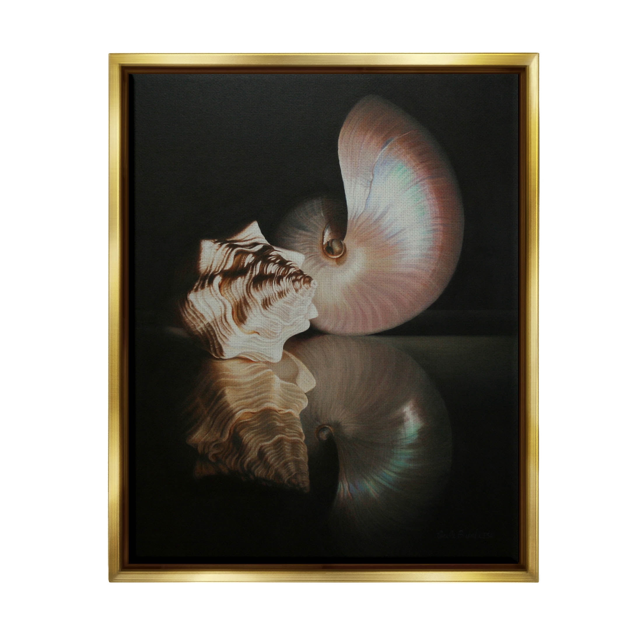 Stupell Industries Dark Sea Shells Still Life Photograph Metallic Gold Floating Framed Canvas Print Wall Art, Design by Cecile Baird