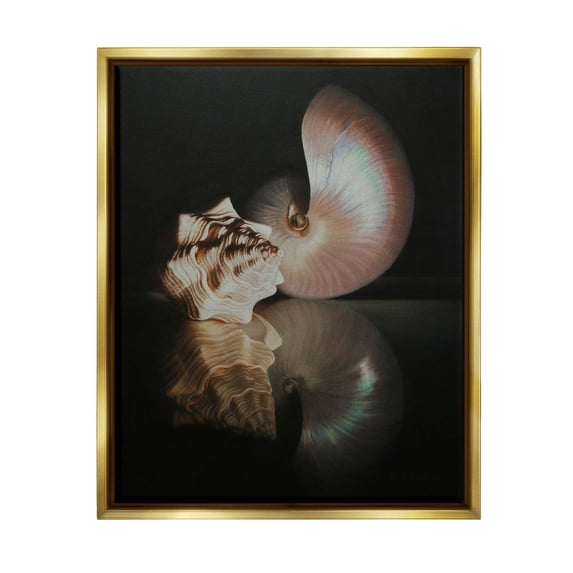 Stupell Industries Dark Sea Shells Still Life Photograph Metallic Gold Floating Framed Canvas Print Wall Art, Design by Cecile Baird