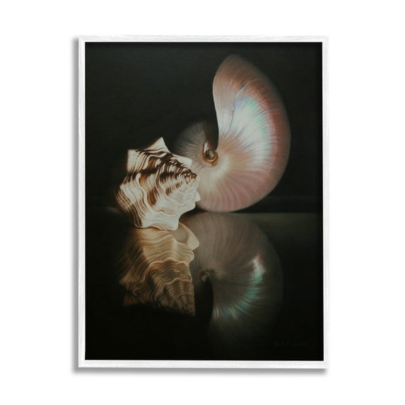 Stupell Industries Dark Sea Shells Still Life Photograph White Framed Art Print Wall Art, Design by Cecile Baird