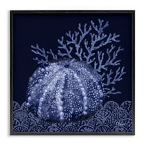 Stupell Industries Dark Sea Urchin Nautical & Beach Painting Black Framed Art Print Wall Art, 12 x 12