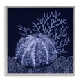 thumbnail image 1 of Stupell Industries Contemporary Dark Sea Urchin Gray Framed Giclee Art, 24 x 24, by Paul Brent, 1 of 8