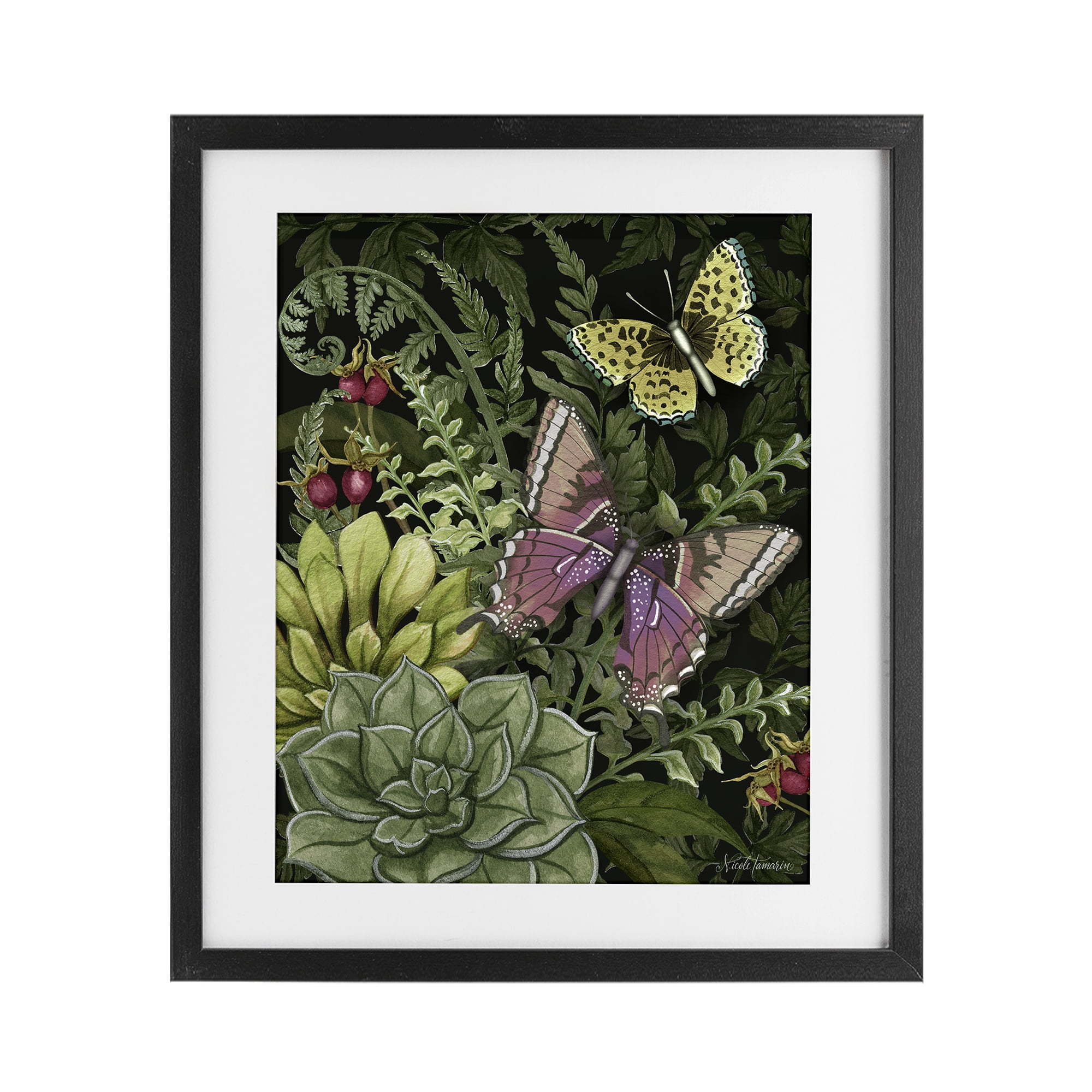 Stupell Industries Dark Succulents Midnight Garden Black Framed Print Under Glass, design by Nicole Tamarin