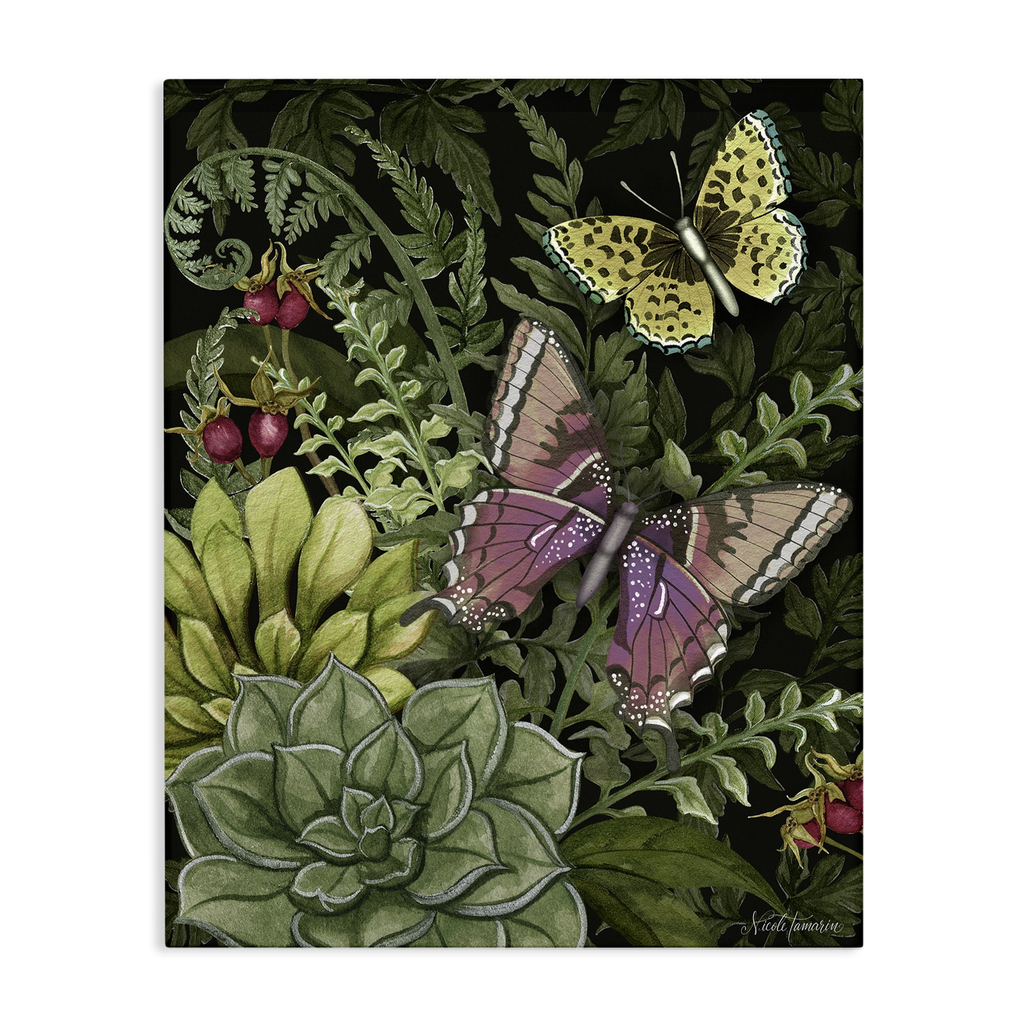 Stupell Industries Dark Succulents Midnight Garden Canvas Wall Art, design by Nicole Tamarin