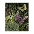 thumbnail image 1 of Stupell Industries Eclectic Dark Succulents Midnight Garden Canvas Art, 16 x 20, by Nicole Tamarin, 1 of 8