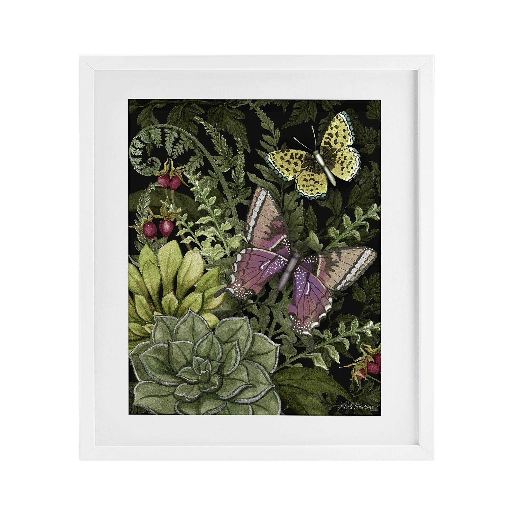 Stupell Industries Dark Succulents Midnight Garden White Framed Print Under Glass, design by Nicole Tamarin