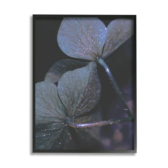 Stupell Industries Dark Tone Glittered Clover Petals Detail Black Framed by Daphne Polselli
