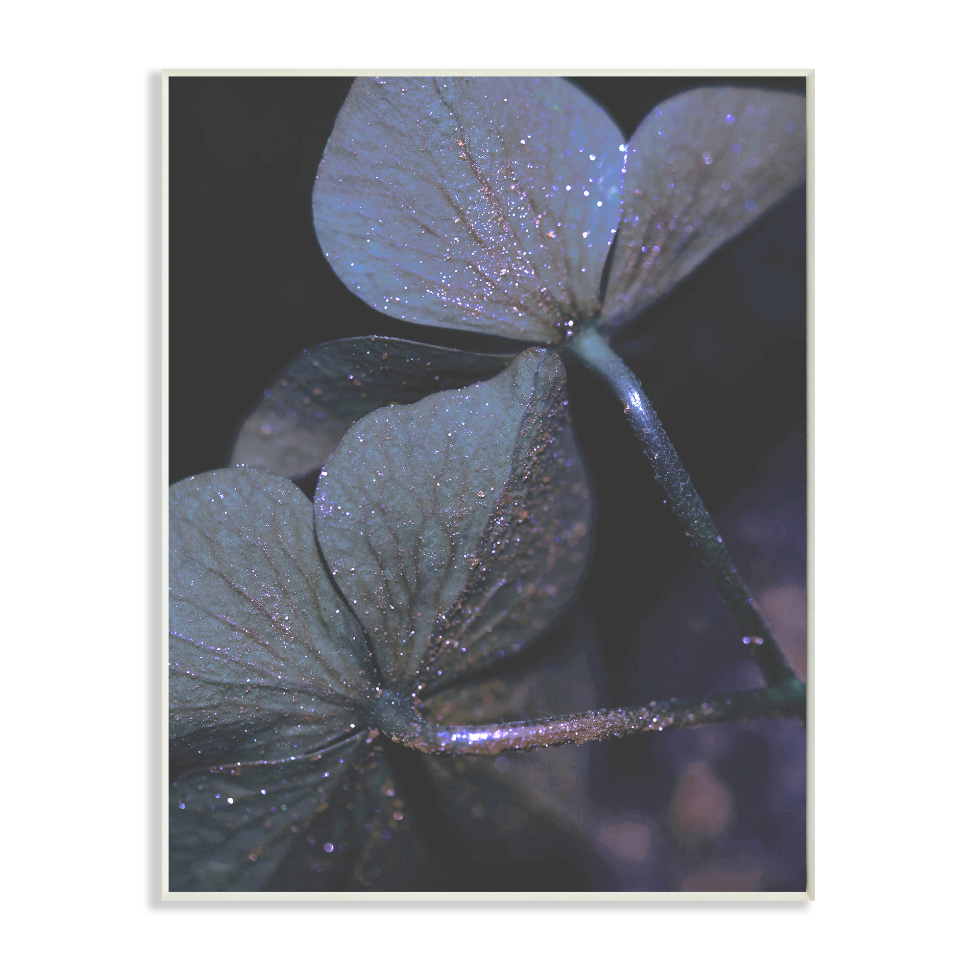 Stupell Industries Dark Tone Glittered Clover Petals Detail Wall Plaque by Daphne Polselli