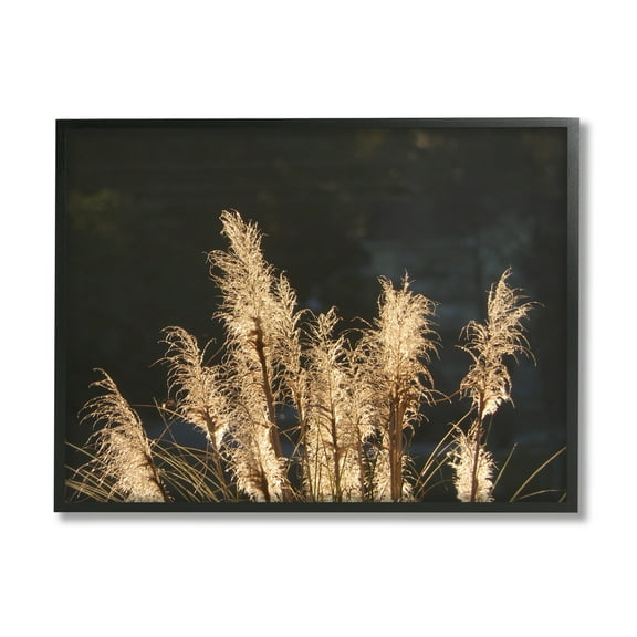 Stupell Industries Dark Wheat Photography Botanical & Floral Photography Black Framed Art Print Wall Art, 14 x 11