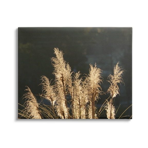 Stupell Industries Dark Wheat Photography Botanical & Floral Photography Gallery Wrapped Canvas Art Print Wall Art, 20 x 16