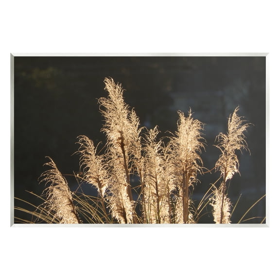 Stupell Industries Dark Wheat Photography Botanical & Floral Photography Unframed Art Print Wall Art, 15 x 10