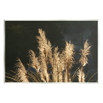 Stupell Industries Dark Wheat Photography Botanical & Floral Photography Unframed Art Print Wall Art, 15 x 10