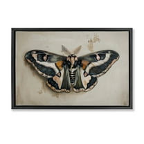 Stupell Industries Dark Winged Moth Animals Painting Black Floater Framed Canvas Art Print Wall Art, 25 x 17