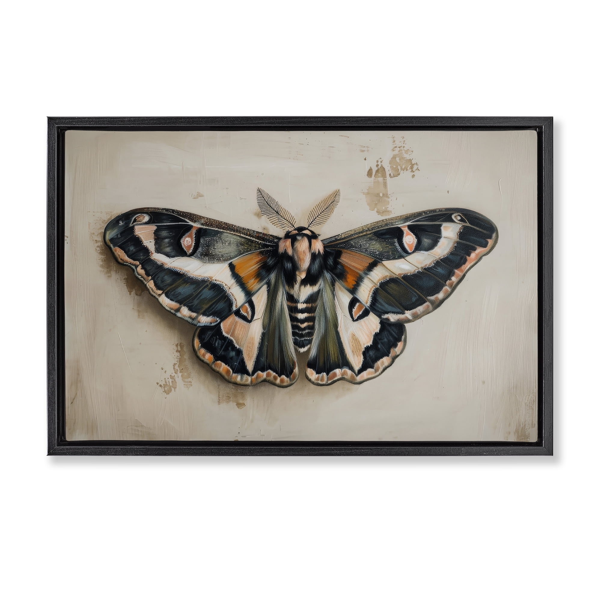 Stupell Industries Dark Winged Moth Animals Painting Black Floater Framed Canvas Art Print Wall Art, 31 x 21
