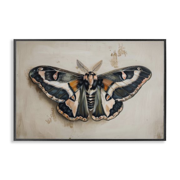 Stupell Industries Dark Winged Moth Animals Painting Black Framed Art Print Wall Art, 30 x 20