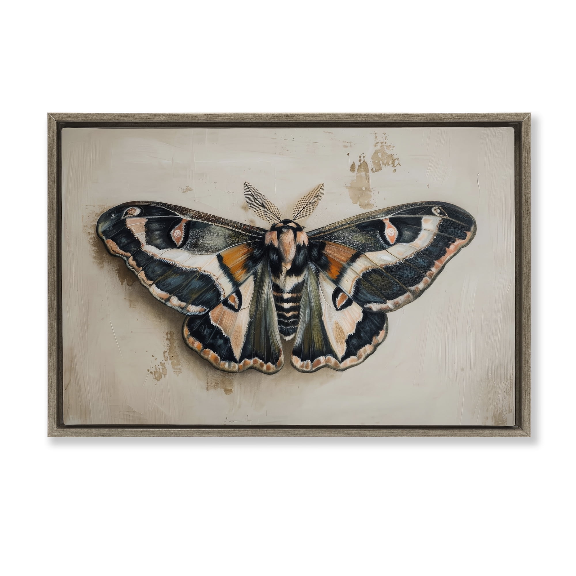 Stupell Industries Dark Winged Moth Animals Painting Brown Floater Framed Canvas Art Print Wall Art, 31 x 21