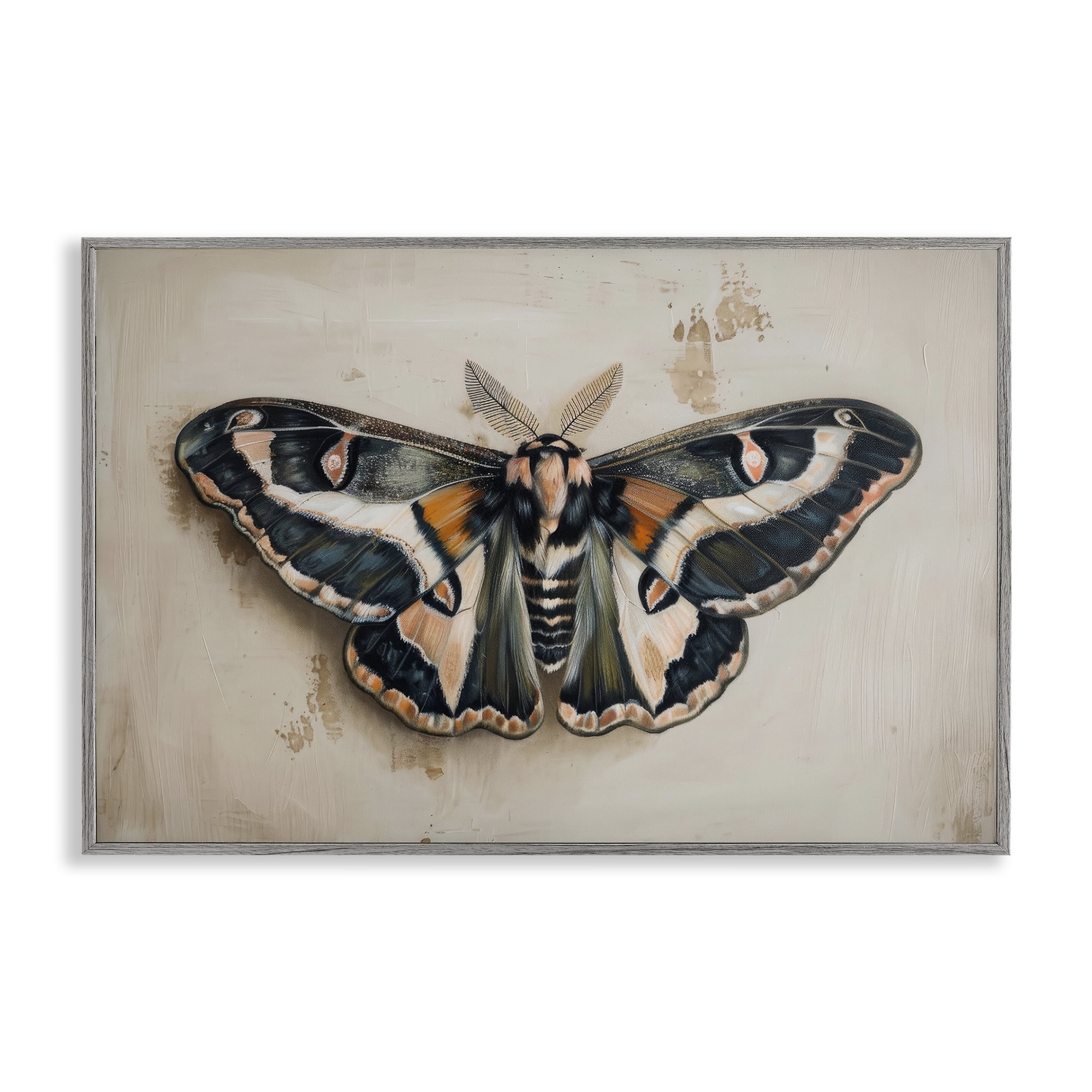 Stupell Industries Dark Winged Moth Animals Painting Gray Framed Art Print Wall Art, 18 x 12