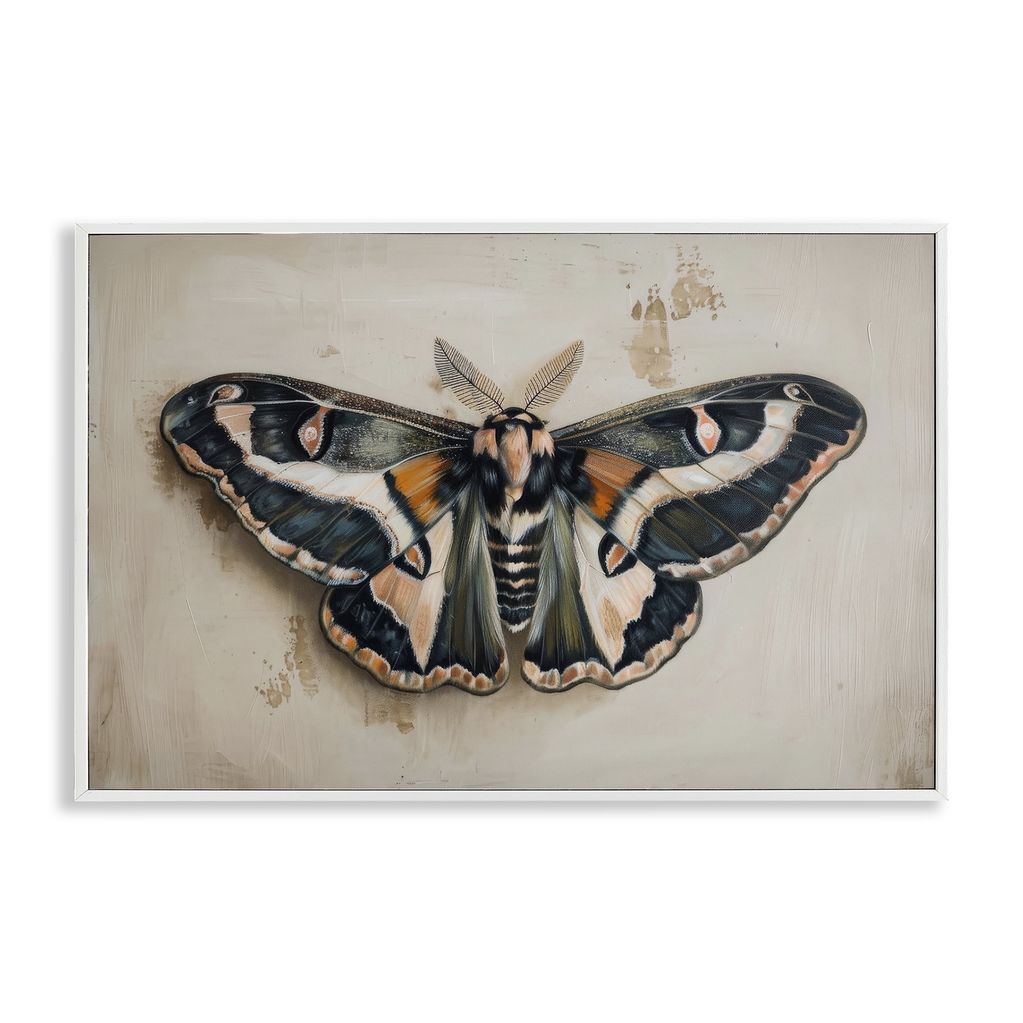 Stupell Industries Dark Winged Moth Animals Painting White Framed Art Print Wall Art, 24 x 16