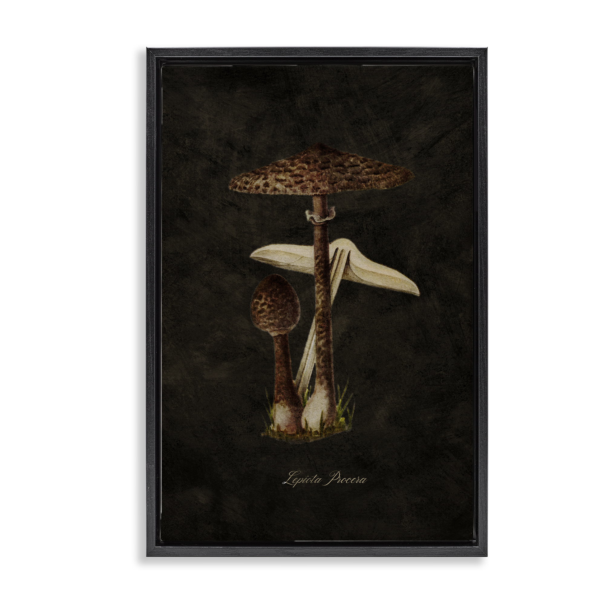 Stupell Industries Dark Woodland Mushroom Plants & Flowers Painting Black Floater Framed Canvas Art Print Wall Art, 21 x 31