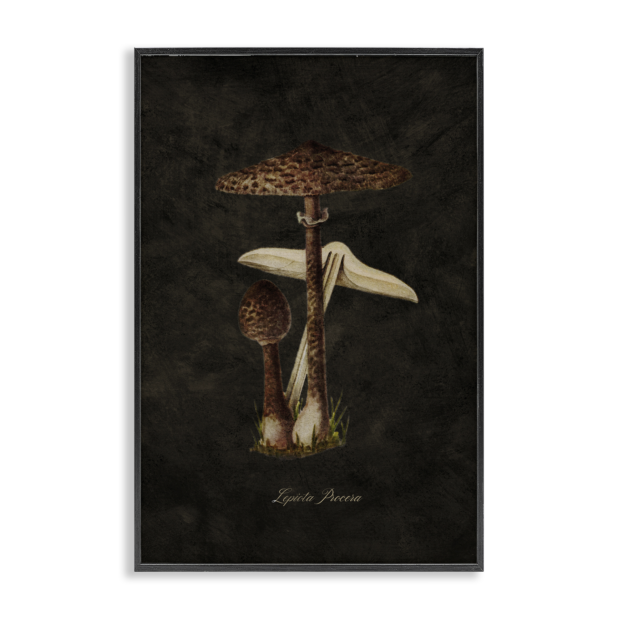 Stupell Industries Dark Woodland Mushroom Plants & Flowers Painting Black Framed Art Print Wall Art, 16 x 24