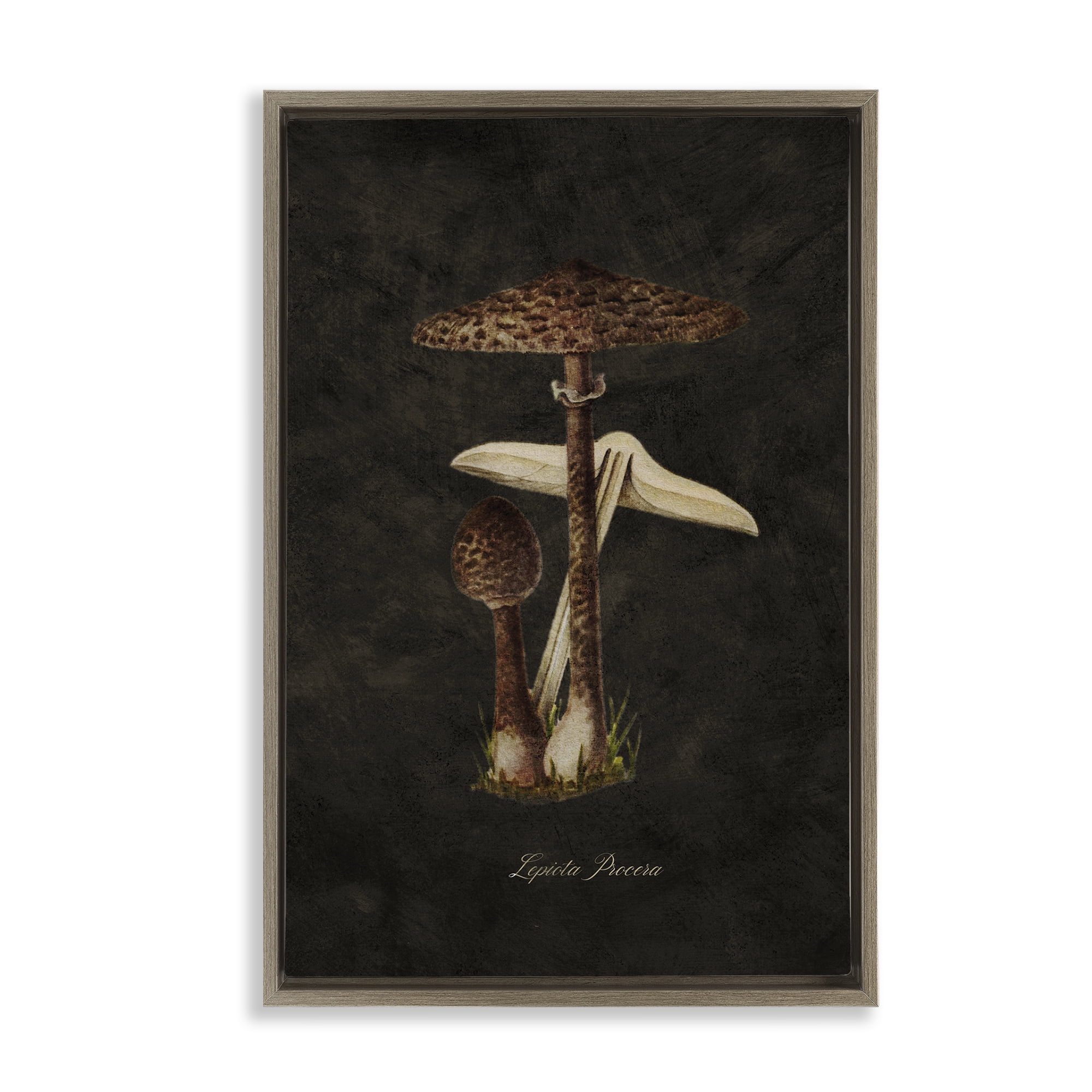 Stupell Industries Dark Woodland Mushroom Plants & Flowers Painting Brown Floater Framed Canvas Art Print Wall Art, 17 x 25