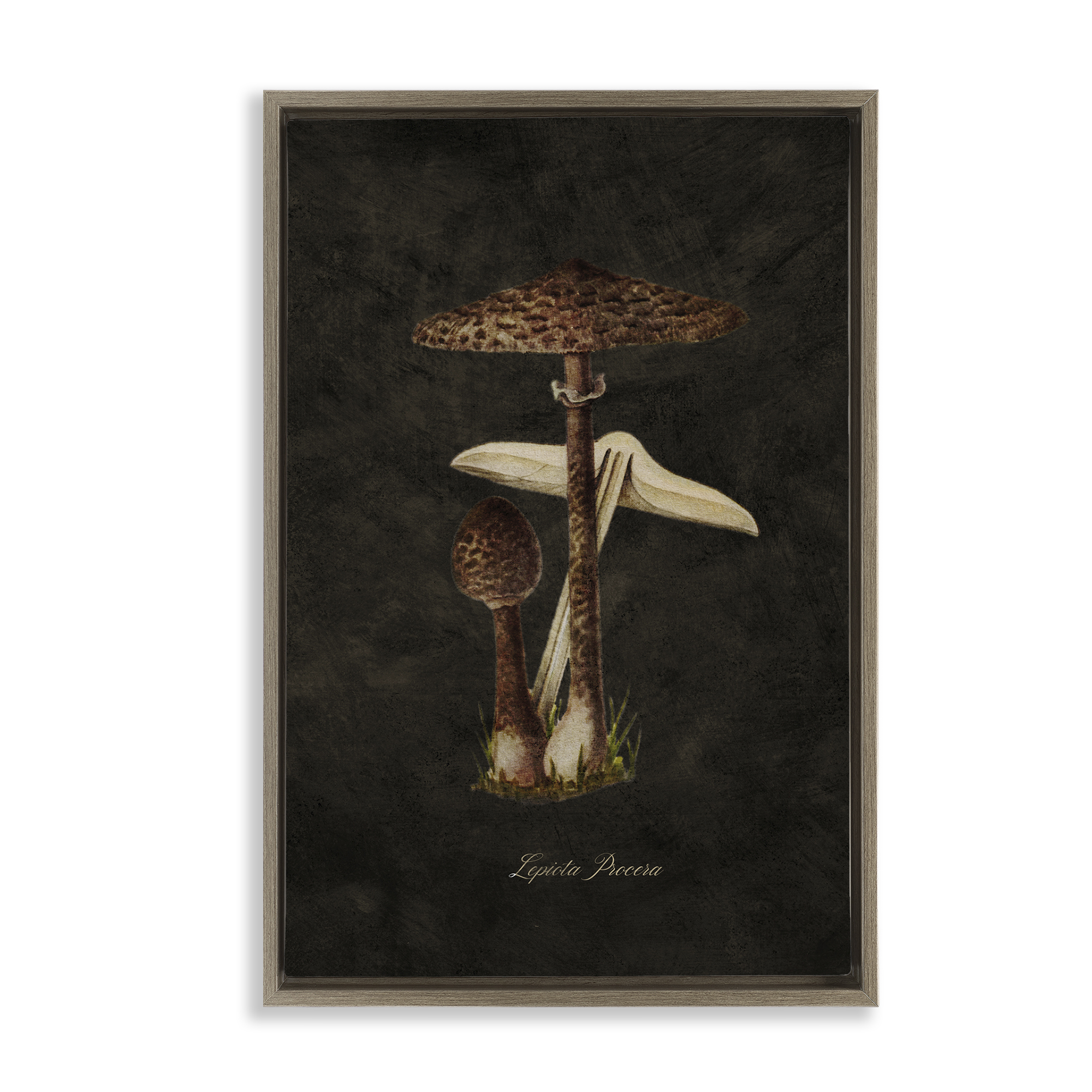 Stupell Industries Dark Woodland Mushroom Plants & Flowers Painting Brown Floater Framed Canvas Art Print Wall Art, 21 x 31