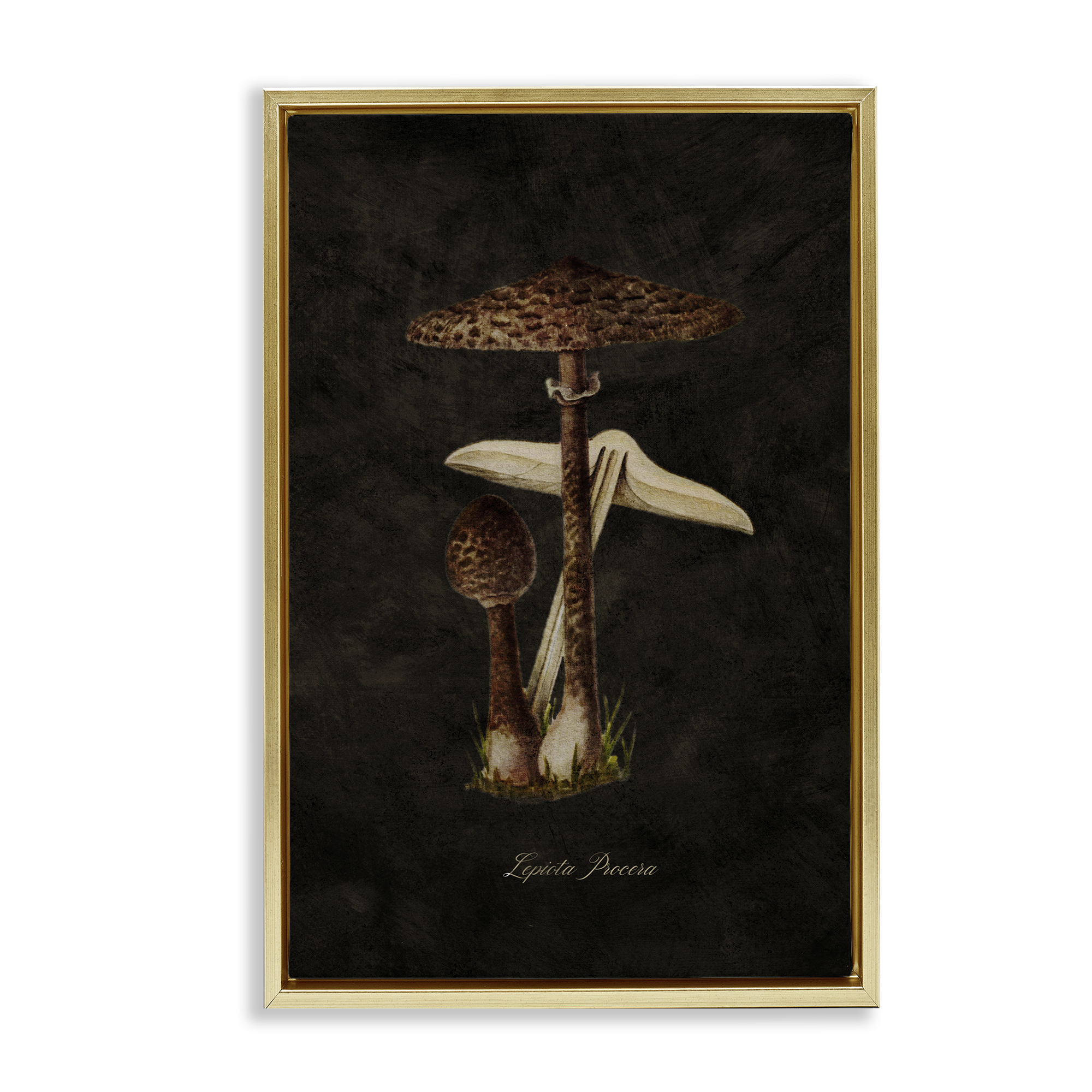 Stupell Industries Dark Woodland Mushroom Plants & Flowers Painting Gold Floater Framed Canvas Art Print Wall Art, 17 x 25