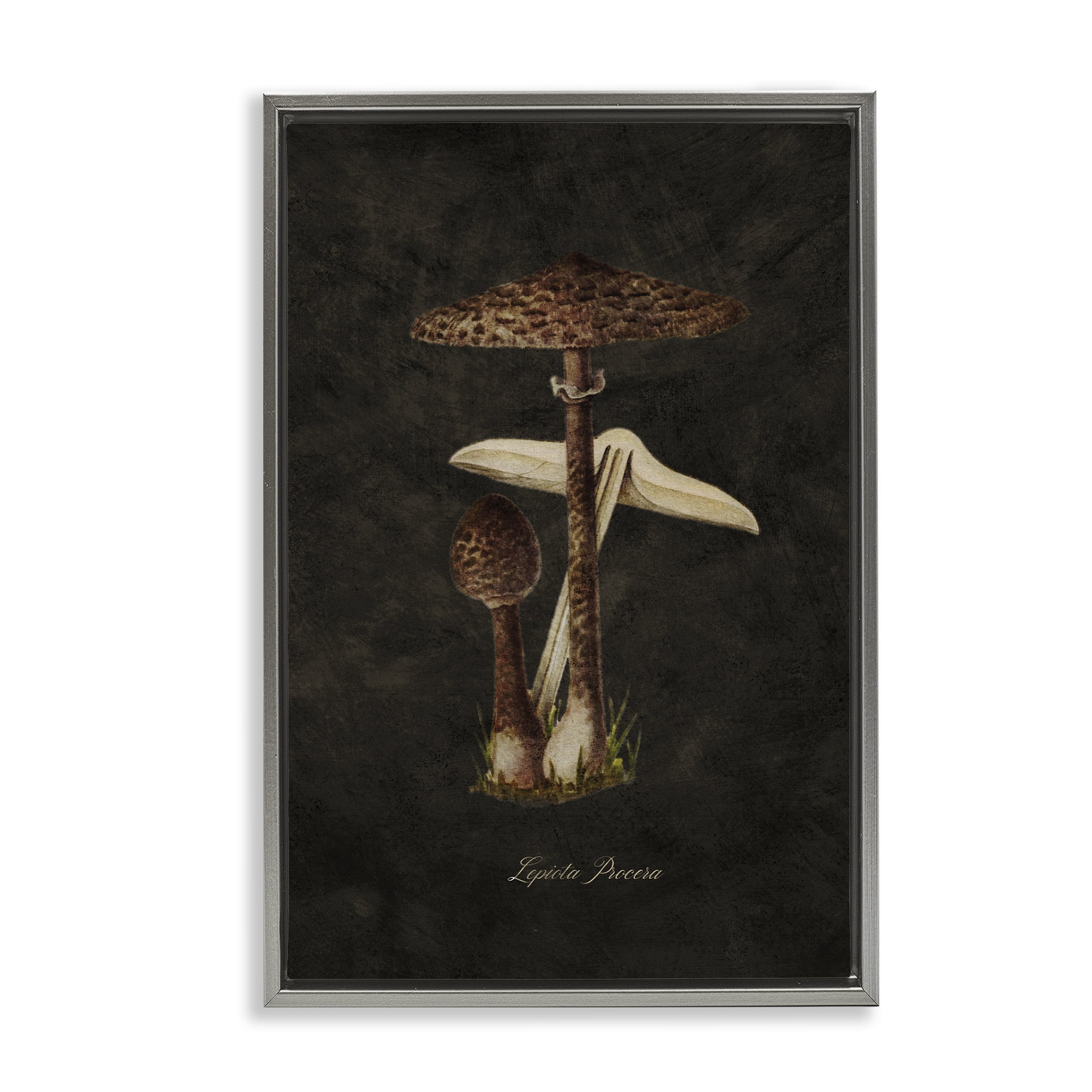 Stupell Industries Dark Woodland Mushroom Plants & Flowers Painting Gray Floater Framed Canvas Art Print Wall Art, 17 x 25