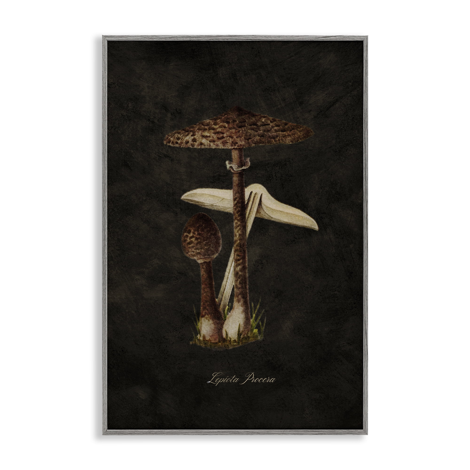 Stupell Industries Dark Woodland Mushroom Plants & Flowers Painting Gray Framed Art Print Wall Art, 16 x 24