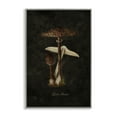 thumbnail image 1 of Stupell Industries Dark Woodland Mushroom Plants & Flowers Painting Gray Framed Art Print Wall Art, 20 x 30, 1 of 2