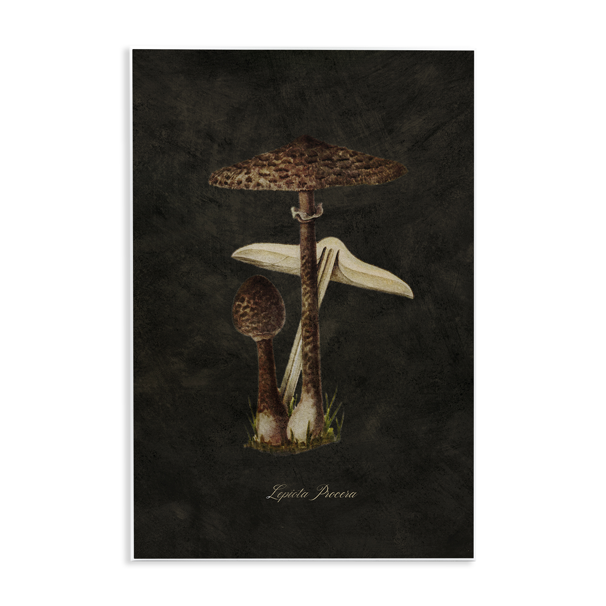 Stupell Industries Dark Woodland Mushroom Plants & Flowers Painting Unframed Art Print Wall Art, 10 x 15
