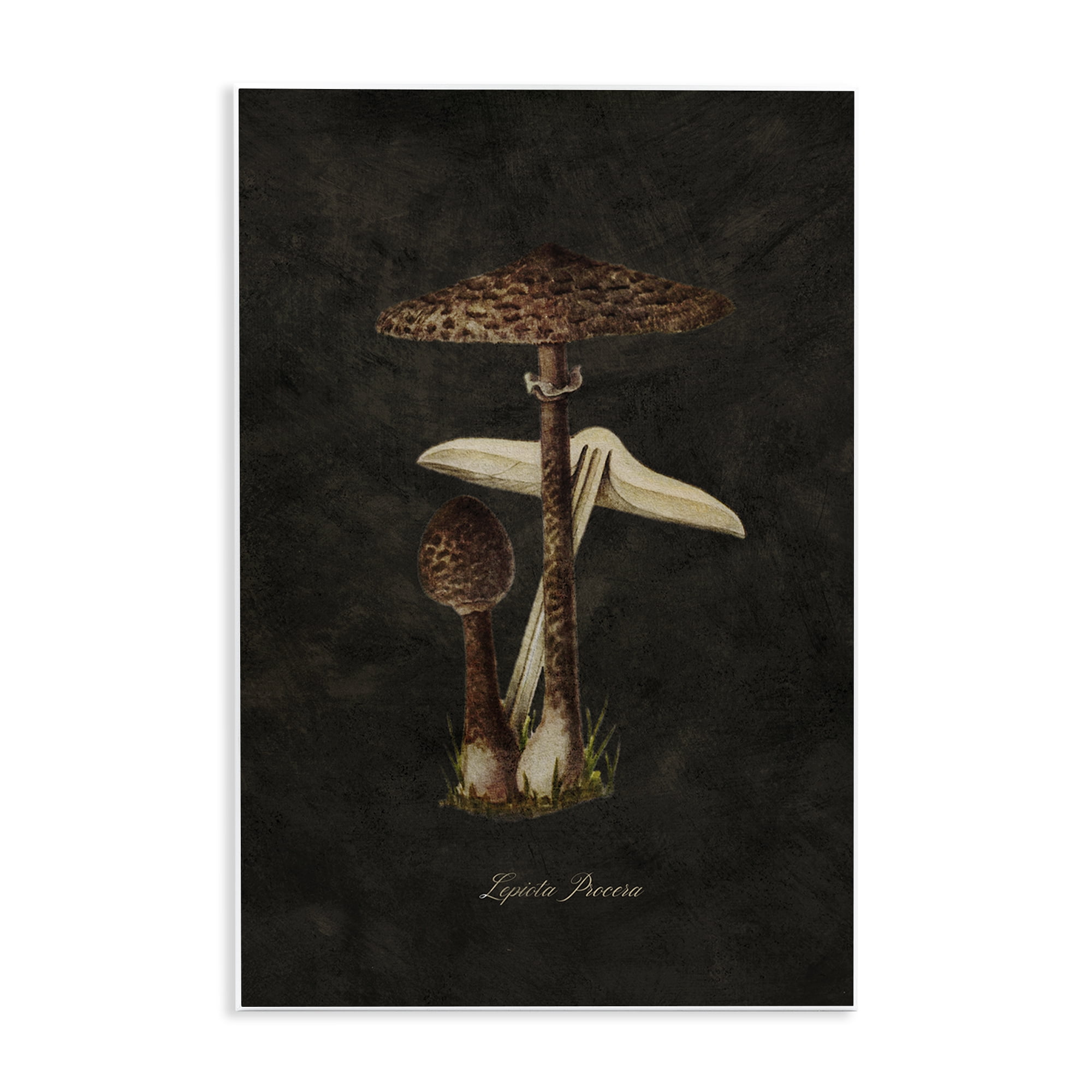 Stupell Industries Dark Woodland Mushroom Plants & Flowers Painting Unframed Art Print Wall Art, 13 x 19